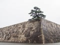 East Gardens of Imperial Palace, Tokyo, Japan